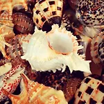 Lovely Estrela Vau - Swimming Pool View Portimão