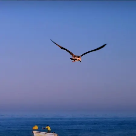 Appartamento Lovely Estrela Vau - Swimming Pool View *