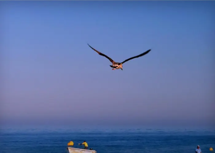 Apartamento Lovely Estrela Vau - Swimming Pool View *